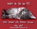 Bild von QS