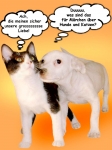 Bild von QS