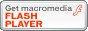 Macromedia Flash Player download Flash Player Download Icon